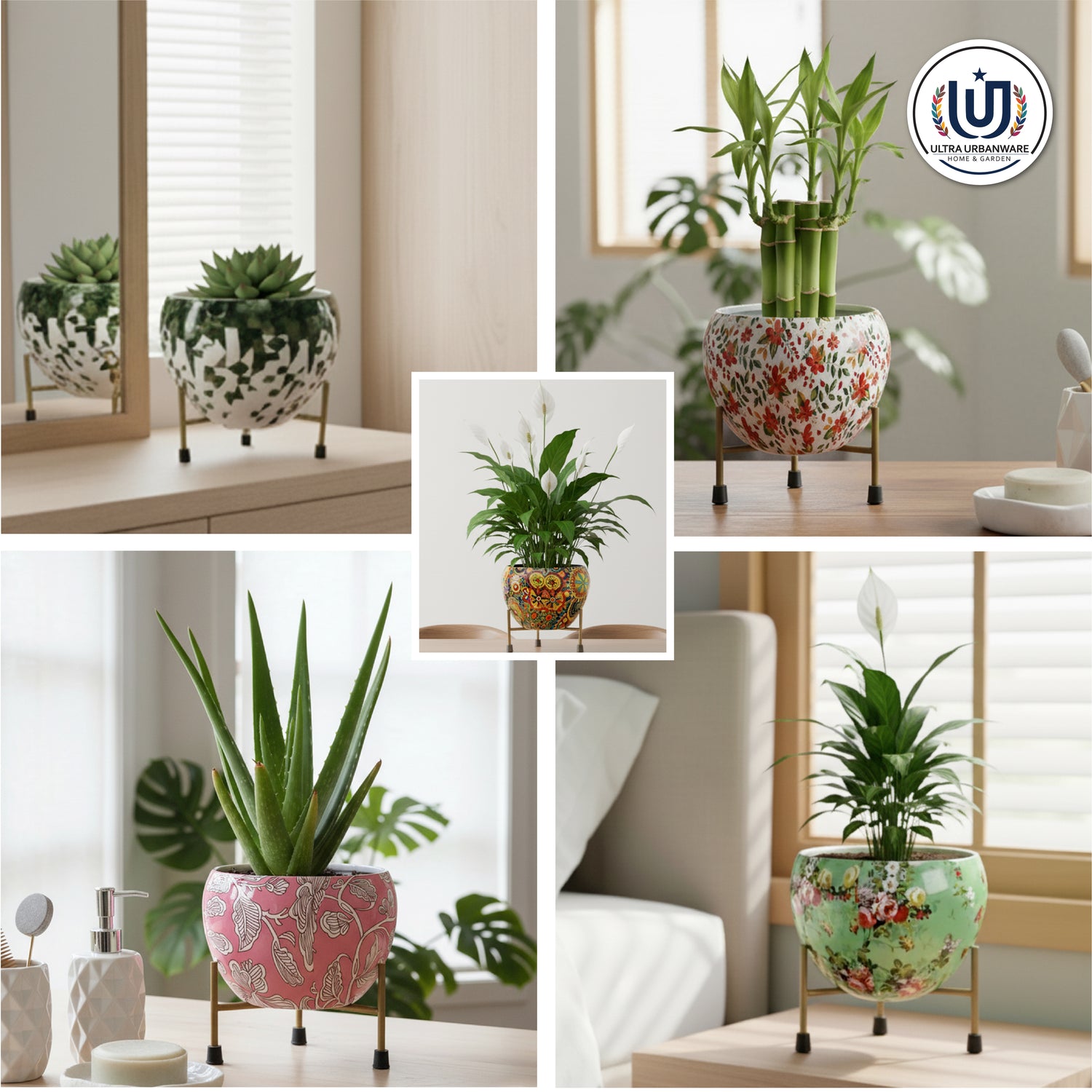 Pots & Planters