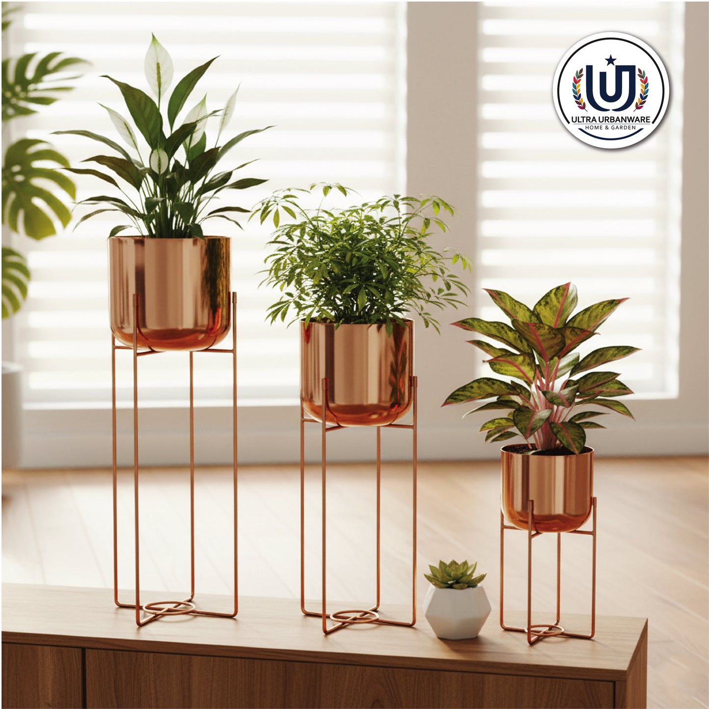 Elevated Metal Glossy Finish Planters (Set of 3)